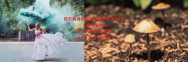 амф Нязепетровск