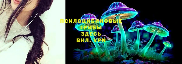 амф Нязепетровск
