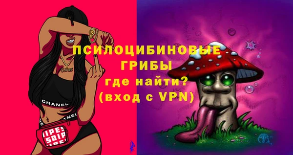 амф Нязепетровск