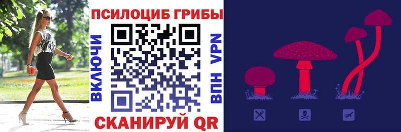Галлюциногенные грибы прущие грибы KRAKEN Лермонтов